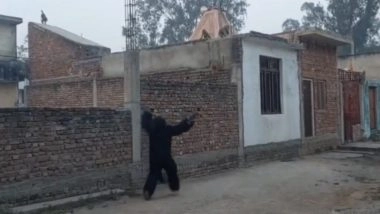 Monkey Menace in Bijnor: Farmers Don Bear Costumes To Drive Away Monkeys, Protect Crops in Uttar Pradesh (Watch Video)