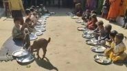 Viral Video Shows Goats Sharing Midday Meal With Children in Madhya Pradesh’s Katni, Probe Ordered Viral Video Shows Goats Sharing Midday Meal With Children in Madhya Pradesh’s Katni, Probe Ordered