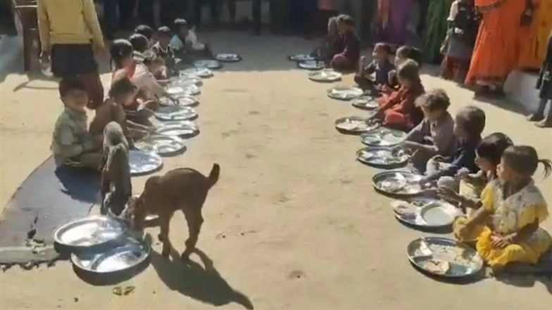 Viral Video Shows Goats Sharing Midday Meal With Children in Madhya Pradesh’s Katni, Probe Ordered