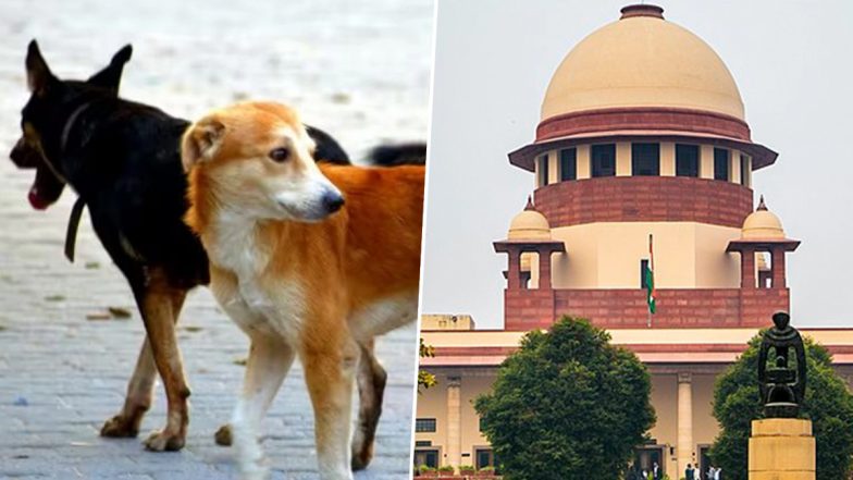 ‘Will Play Video and Ask You What Is Humanity’, Says Supreme Court As Petitioner Claims Inhuman Treatment of Dogs