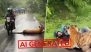 Did a Tiger Attack Bikers Inside the Forest? Viral Video Is AI-Generated, Reveals Fact Check