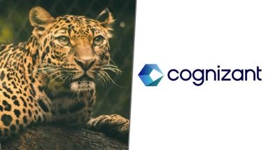 Leopard Sightings in Pune: IT Firm Cognizant Issues Advisory for Leopard Sightings in Pune: IT Firm Cognizant Issues Advisory for Hinjawadi Employees Amid Rising Wild Animal Encounters Employees Amid Rising Wild Animal Encounters