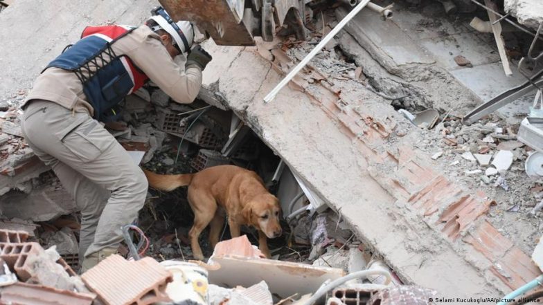 Can Dogs Really Sense Danger?