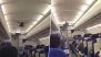 Pigeon in IndiGo Flight: Chaos As Bird Enters Bengaluru-Vadodara IndiGo Flight Before Take-Off, Video Goes Viral