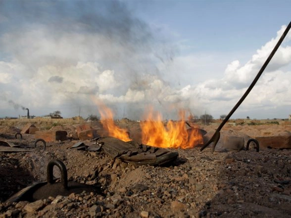 World News | Pakistan: Communities Protest 'Mafia-Led' Destruction of Indus Riverine Grazing and Wildlife Zones