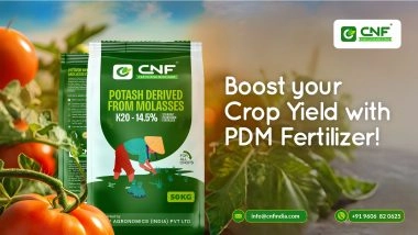 Business News | CNF Phosphates Leads India's Push Toward Self-Reliance with High-Quality PDM Production