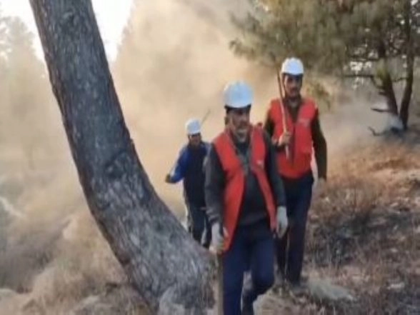 India News | J-K Forest Fire Raging Along LoC in Gurez Valley Brought Under Control