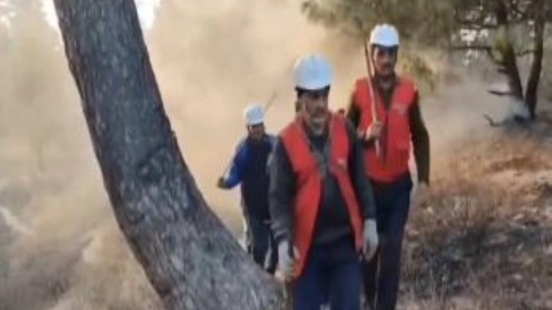 India News | J-K Forest Fire Raging Along LoC in Gurez Valley Brought Under Control