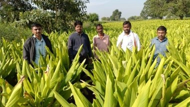 Business News | Transworld Furtichem's New Research Reveals Severe Monsoon Impact; Company Launches Recovery Measures for Farmers and Dealers