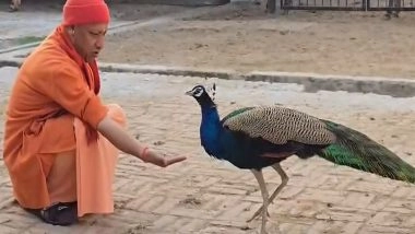 India News | UP CM Adityanath Feeds Peacock During 'gauseva' at Gorakhnath Temple