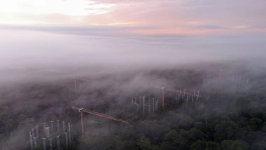 Tech News | New Data Reveals One of the Smallest Ozone Holes in Decades: Study