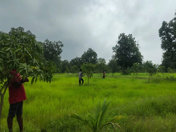 India News | Naxal-hit Sukma Scripting New Chapter of Progress Through 'Aam Bagicha Project'