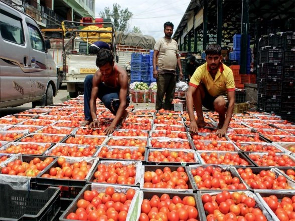 Business News | Costs of Veg, Non-veg Thalis Dip 13% in Nov Amid Easing Vegetable Prices: Crisil