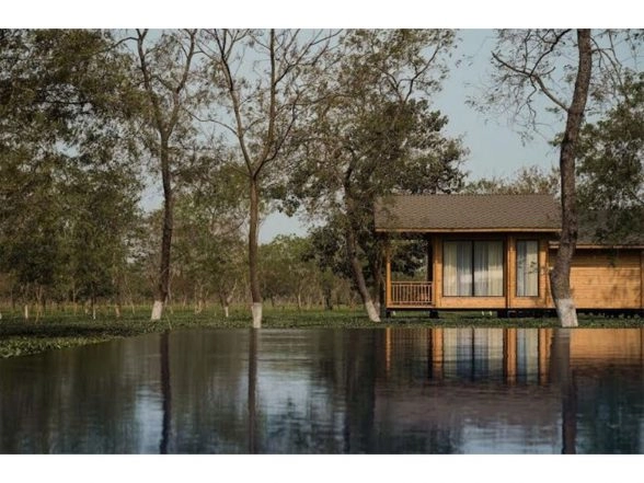 Business News | The Postcard in the Durrung Tea Estate, Assam - Honoured as 'Hotel of the Year 2025' by The Gallivanter's Guide