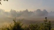 India News | Majuli Wrapped in Winter Fog, Offering Mesmerising Morning Views