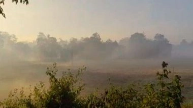 India News | Majuli Wrapped in Winter Fog, Offering Mesmerising Morning Views