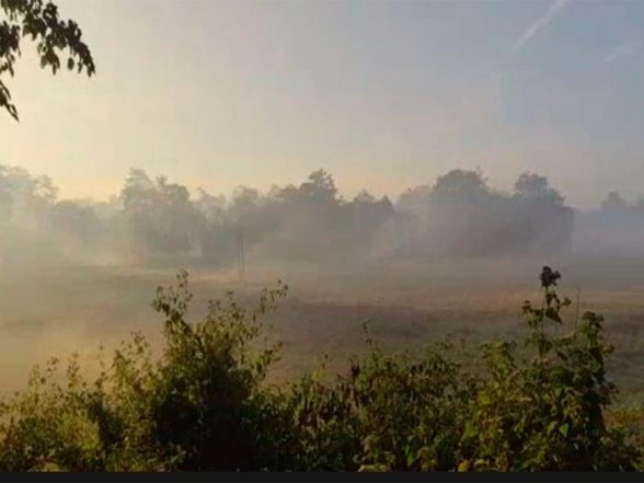 India News | Majuli Wrapped in Winter Fog, Offering Mesmerising Morning Views