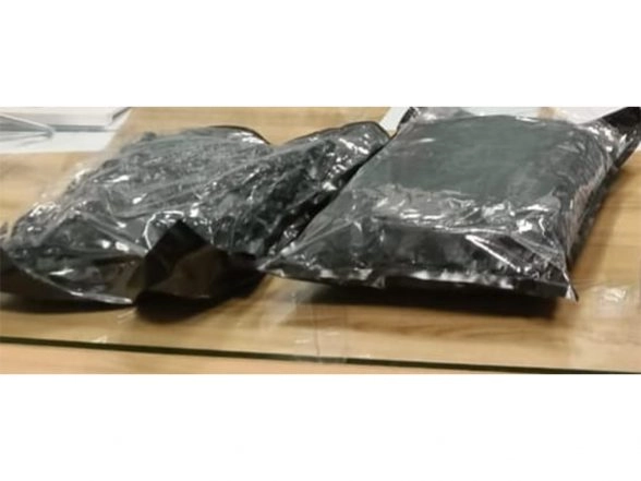 India News | Pune AIU Seizes Hydroponic Marijuana Worth Rs 2.29 Crore; Passenger Arrested