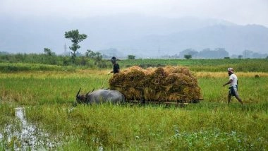 Business News | Unseasonal Rains, Price Crash Pose Sharp Decline in Cultivation Income of Rural Farmers: Report