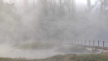 India News | Ooty Shivers Amid Sharp Dip in Temperatures, Frost Blankets Tamil Nadu's Nilgiris