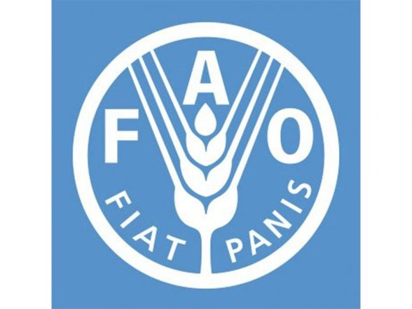 World News | Renewable Water Availability Per Person Plunges 7% in Decade as Global Scarcity Deepens, FAO Data Shows