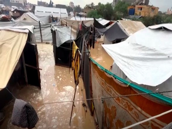 World News | Severe Weather Kills 14 in Gaza as Flooded Tents Worsen Humanitarian Crisis