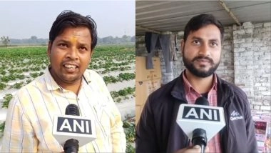 Business News | Urban E-commerce Boosts Rural Farmers' Income in UP's Sambhal with Rising Strawberry Demand