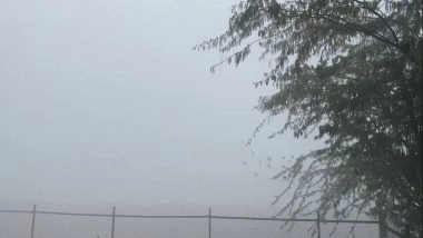 India News | Thick Smog Blankets Several UP Cities; Taj Mahal Vanishes Under Dense Fog in Agra