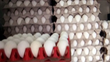 India News | FSSAI to Collect Samples to Check Nitrofurans Presence in Eggs