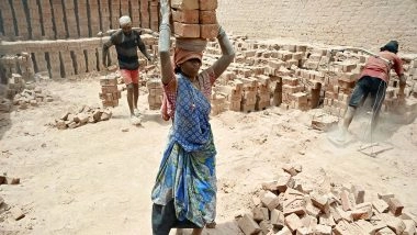 Business News | Labour Force Participation Rate Rose to 55.8% in November, 7-month High Since April