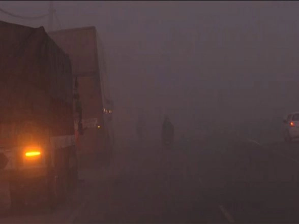 LatestLY - Politics - News Image