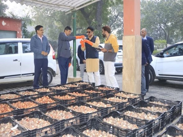 India News | NDMC's Green Initiative: 2.60 Lakh Tulip Bulbs to Be Planted in New Delhi