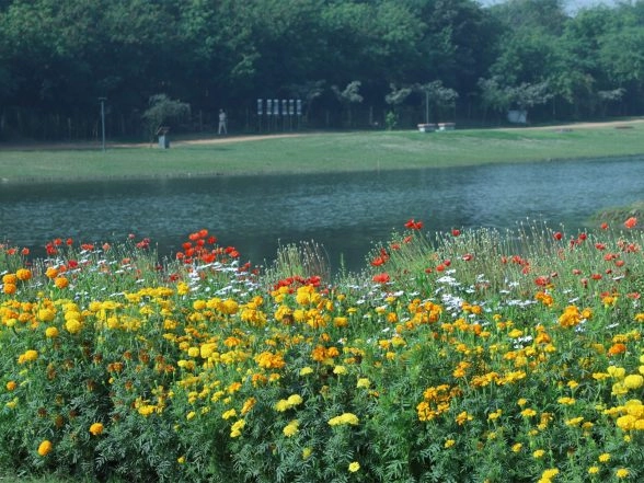 India News | Delhi's Yamuna Riverfront Becomes Venue as Asita Park Now Open for Public Bookings