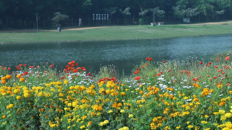 India News | Delhi's Yamuna Riverfront Becomes Venue as Asita Park Now Open for Public Bookings