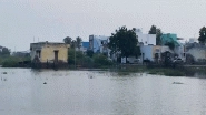 India News | Tamil Nadu: Rainwater Stagnation in Thoothukudi Causes Severe Public Distress