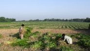 World News | Pakistan Flood-hit Farmers Move Climate Justice Case in Germany Against Top Polluters