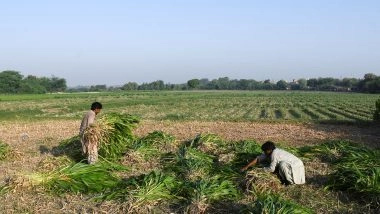 World News | Pakistan Flood-hit Farmers Move Climate Justice Case in Germany Against Top Polluters