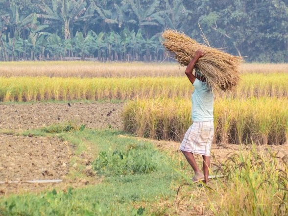 Business News | Centre Releases Rs 94 Crore for Uttarakhand Rural Local Bodies