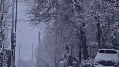 India News | Leh Turns into Winter Wonderland with First Snowfall