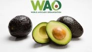 Business News | From Niche to Mainstream: The Rapid Growth of Avocado Imports in India
