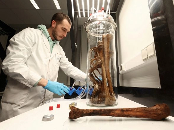 Health News | Scientists Reverse Alzheimer's in Mice and Restore Memory: Study