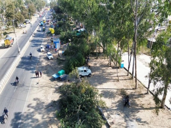 India News | NGT Orders Halt on Tree Felling After Massive Tree Cutting for Bhopal's Ayodhya Bypass Road Project