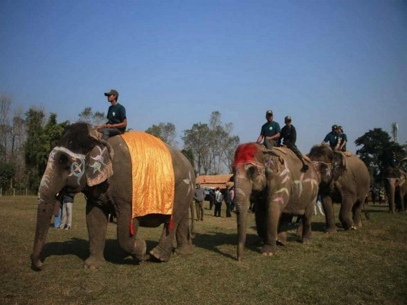 World News | Elephants Take Part in Penalty Shootout Competition at Annual Mammoth Festival in Nepal