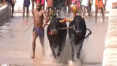 India News | 150 Pairs of Buffaloes Participate in the 9th Edition of Mangaluru Kambala