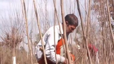 India News | J-K:Over 1 Lakh Mulberry Saplings Distributed in Udhampur Under HDB Scheme