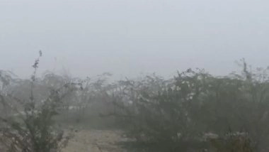 India News | Thick Fog Clouds Visibility of Taj Mahal, Multiple Cities in UP Grapple with Dense Fog