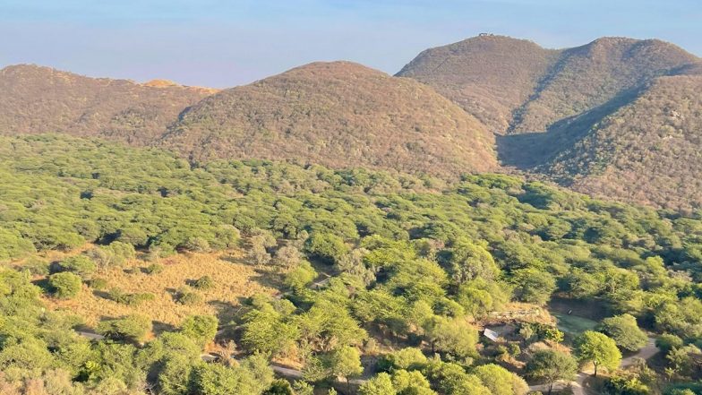 Aravalli Hills Case: Why Is #SaveAravalli Trending? What Is Supreme Court’s New ‘100-Metre’ Rule Redefining Aravalli Mountain?