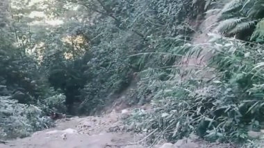 Arunachal Pradesh Road Accident: Truck Carrying 22 Labourers From Assam Falls Into Deep Gorge, All Feared Dead