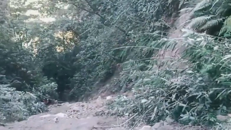 Arunachal Pradesh Road Accident: Truck Carrying 22 Labourers From Assam Falls Into Deep Gorge Between Hayuliang and Chakla, All Feared Dead (Watch Video)