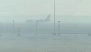 Airport Authority Warns of Possible Flight Delays, Changes Due to Reduced Visibility As Dense Fog Grips North India